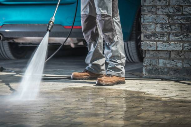 Best Dumpster Area Cleaning  in Las Animas, CO